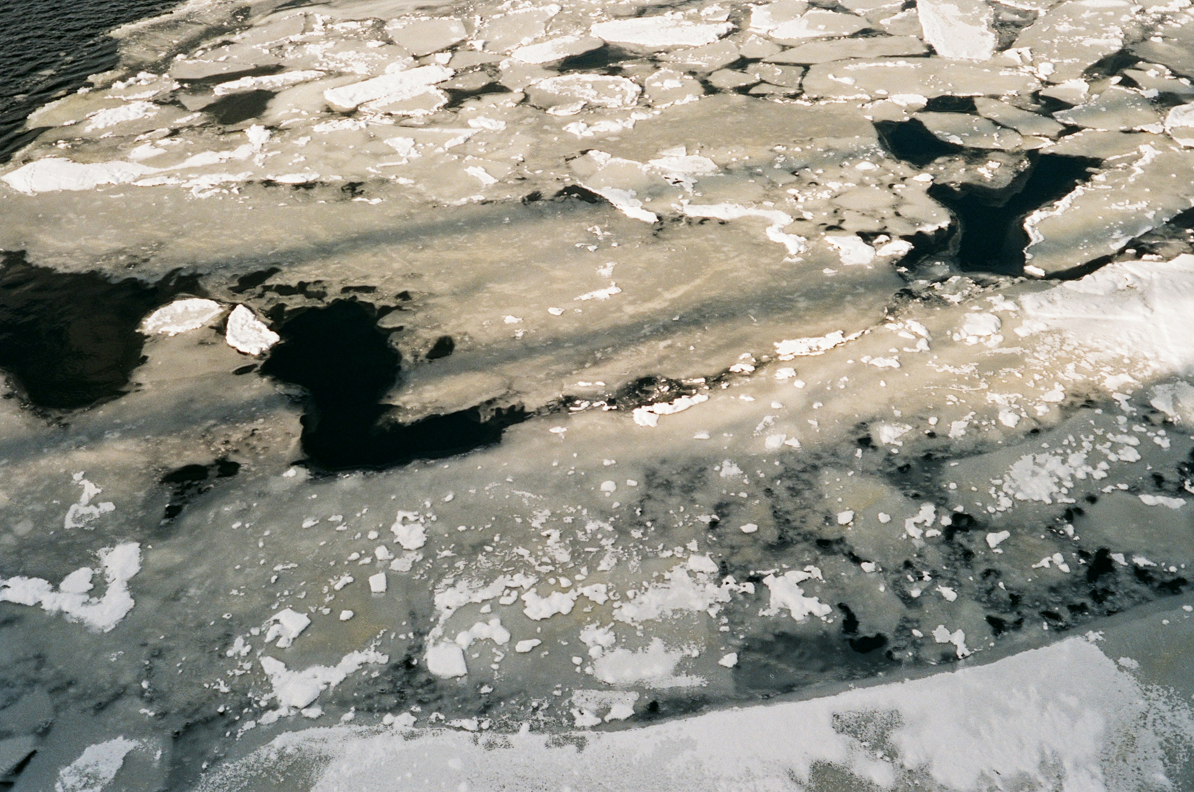 white and black rocky shore during daytime